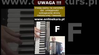 My cyganie  Akordeon 🎹 warsztaty muzyczne mycyganie akordeon tutorial akordy biesiada [upl. by Jard]