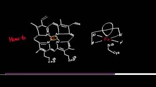 CYP2E1 Mechanism Oxidation of Ethanol to Acetaldehyde [upl. by Pinchas]