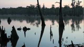 PRESERVING A WAY OF LIFE IN THE ATCHAFALAYA BASIN [upl. by Dhar]