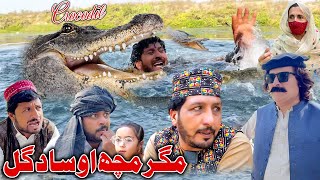 Magar Match Crocodile Ou Sada Gul New Comedy Video Khyber Vines [upl. by Anialad958]