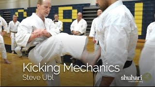 Steve Ubl  On Kicking Mechanics [upl. by Yrred356]