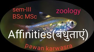 Affinities of hemichordata amp echinodermata cephalochordata and chordata । BSc I MSc । [upl. by Einnaoj]