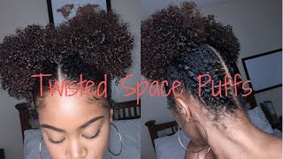 Short Natural Hairstyles Twisted Space Puffs [upl. by Ainoyek]