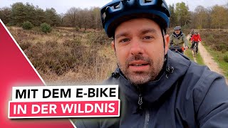 Frühlingstour im Nationalpark De Meinweg mit Time to eBike   50km EBike Tour [upl. by Silvain]