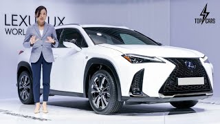 COMING SOON 2022 Lexus UX [upl. by Esylle582]