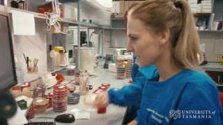 What does a microbiologist do  University of Tasmania [upl. by Harle]