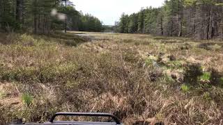 Sills Argo muskeg swamp NO TRACKS [upl. by Drofnats503]