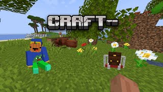 jsem na youtuberském serveru craft [upl. by Kelula]