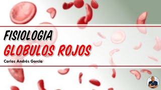 Fisiología  Eritrocitos Síntesis Regulación y Destrucción Hemoglobina y Hierro [upl. by Vyse]