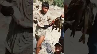 localfish baglung cooking river fishhunting youtubeshorts trending eating catch galkot [upl. by Nabatse]