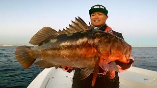 Fishing From Catalina Island to Long Beach Catch Clean and Cook [upl. by Ynohtnacram]