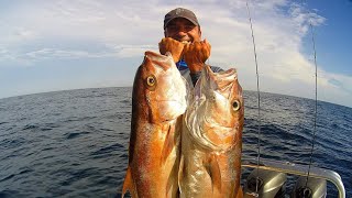 SLOW PITCH JIGGING TECNIQUE ON HOW TO SELECT AND CATCH BIG AMBERJACK [upl. by Ermine]