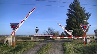 Spoorwegovergang Tinglev DK  Railroad crossing  Jernbaneoverskæring [upl. by Hairaza401]