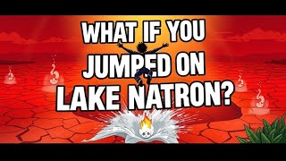 Kya ho agar aap lake natron kud jaao  What if you jumped on LAKE NATRON   trending [upl. by Olav]