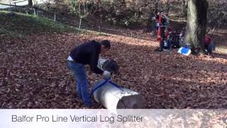 Balfor Pro Line Vertical Log Splitter [upl. by Asseneg243]