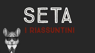 SETA BARICCO  I RIASSUNTINI [upl. by Cissiee970]