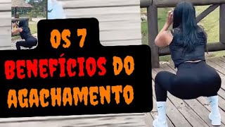 Os 7 Benefícios de fazer agachamento [upl. by Ettegirb]