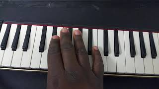 How to play the blues on a melodica  Kay Benyarko melodica lesson Beginner melodica lesson [upl. by Dorolice]