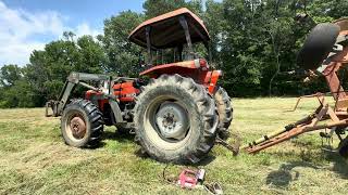 Cow Minerals and Tedding Hay allischalmers tractor hay cow livestock farming farmer [upl. by Hakan]