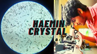 HAEMIN CRYSTAL preparation from Human blood  Physiology Practical  AOB Zoology [upl. by Aneleasor184]