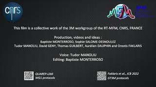 RTMFM GT3M  Light sources characterisation [upl. by Bogosian]