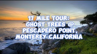 17 MILE TOUR 13 GHOST TREES  PESCADERO POINT MONTEREY CALIFORNIA [upl. by Marvel]