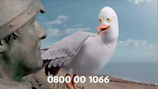 The full picture TV advert  Hastings Direct [upl. by Nylyoj71]