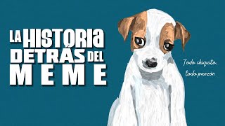 Perrito panzón  La Historia Detrás del Meme [upl. by Lexis]