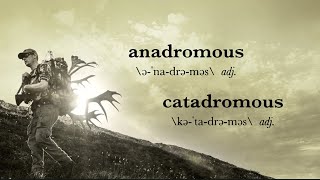 MeatEater Glossary Anadromous and Catadromous [upl. by Odlawso814]