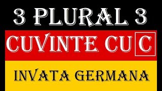 Invata Germana  PLURALUL SUBSTANTIVELOR  Lectia 3  cuvinte cu C [upl. by Aidas85]