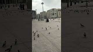 around Nabawi 1 [upl. by Concoff429]