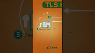 TCP handshake Process  TCP four way handshake Process explained in details with examples [upl. by Kirst]