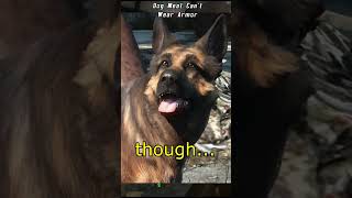 Dogmeat Cant Wear Armour  Fallout 4 [upl. by Phaidra]