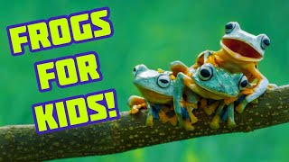 Do all Frogs Ribbit   Frog Facts for Kids  Animal Sounds  Educational video for Children [upl. by Ferrick]