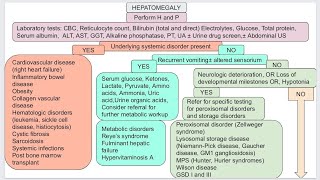 Hepatomegaly in pediatric [upl. by Senecal22]