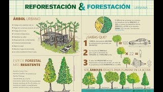 Forestación y Reforestación Urbana By JRS [upl. by Enelra9]