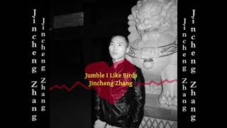 Jincheng Zhang  Latitude I Like Birds Official Audio [upl. by Yoshi423]