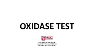 Oxidase Test Procedure [upl. by Rodl396]