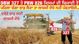 DBW 327 vs PBW 826 wheat  DBW 327 ਤੇ PBW 826 ਕਣਕ ਦੀ ਬਿਜਾਈ ਤੋਂ ਪਹਿਲਾ ਵਧੇਰੇ ਝਾੜ ਲਈ ਲਾਜ਼ਮੀ ਦੇਖੋ [upl. by Eanehs]