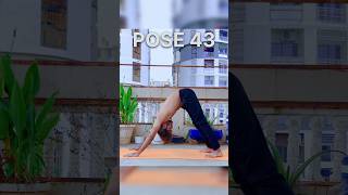 Day 43 of 100  Parvatasana Yoga pose  100 Day 100 Pose ashtangayoga [upl. by Mima]