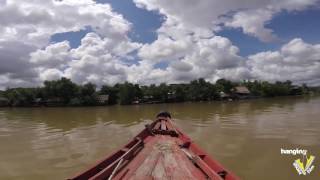 Banyan Tree Guest House  Kampot  Cambodia  sunny cow running [upl. by Ahsiki]