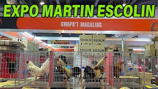 Expo Martin Escoiln Green Country Farm [upl. by Berriman492]