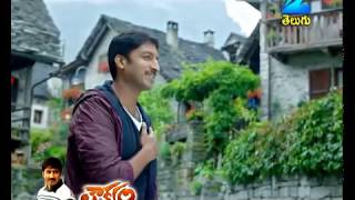 Loukyam Song Trailers  Silly Silly Ga Song  Gopichand Rakul Preet Singh Hamsa Nandini [upl. by Oiratnom173]