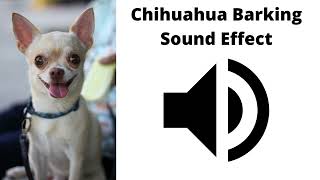 Chihuahua Barking Sound Effect [upl. by Xyla]