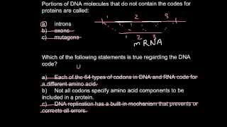 Introns exons and codons [upl. by Eixela879]