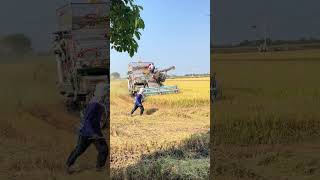 rice harvesting tractor [upl. by Tran345]