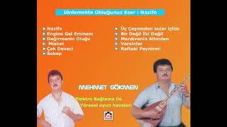 Elektro Bağlama ile Yöresel Oyun Havaları Mehmet Gökmen  Nazife [upl. by Haimorej518]