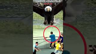 NGERI BURUNG RAJAWALI RAKSASA HEBOHKAN WISATA eagles movie [upl. by Ahselef]