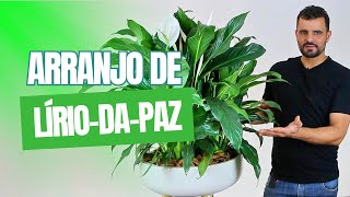 Como Montar um Arranjo de LÃ­rios da Paz em Vaso â€“ Passo a Passo [upl. by Aninad]