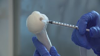 Chicago scientists develop revolutionary cartilage regeneration technology [upl. by Aihsotal]